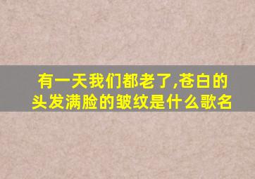 有一天我们都老了,苍白的头发满脸的皱纹是什么歌名