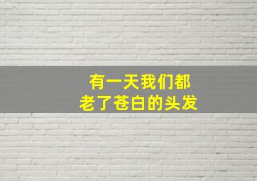 有一天我们都老了苍白的头发