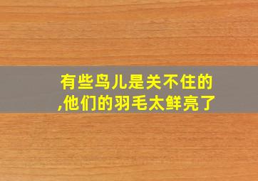 有些鸟儿是关不住的,他们的羽毛太鲜亮了