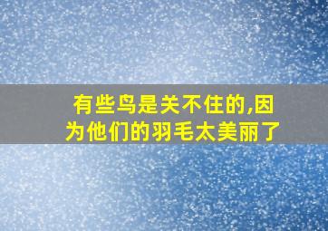 有些鸟是关不住的,因为他们的羽毛太美丽了