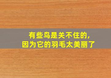 有些鸟是关不住的,因为它的羽毛太美丽了