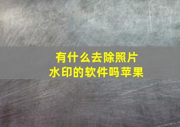 有什么去除照片水印的软件吗苹果