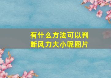 有什么方法可以判断风力大小呢图片