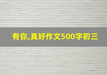 有你,真好作文500字初三