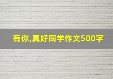 有你,真好同学作文500字