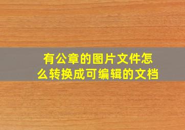 有公章的图片文件怎么转换成可编辑的文档