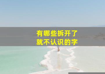 有哪些拆开了就不认识的字