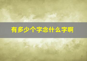 有多少个字念什么字啊