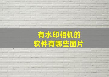 有水印相机的软件有哪些图片