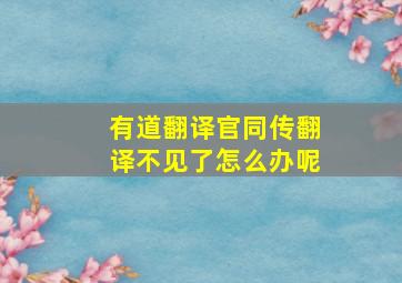 有道翻译官同传翻译不见了怎么办呢