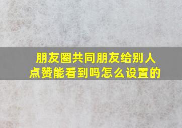 朋友圈共同朋友给别人点赞能看到吗怎么设置的