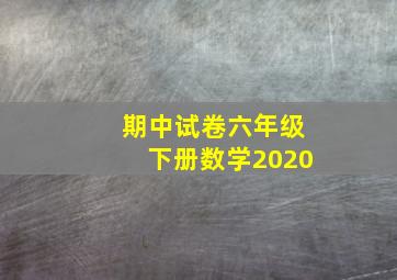 期中试卷六年级下册数学2020