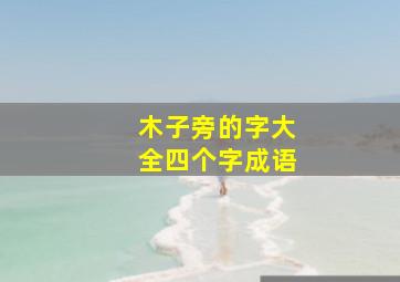 木子旁的字大全四个字成语