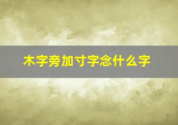 木字旁加寸字念什么字