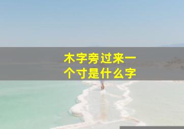 木字旁过来一个寸是什么字