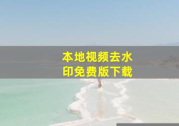 本地视频去水印免费版下载