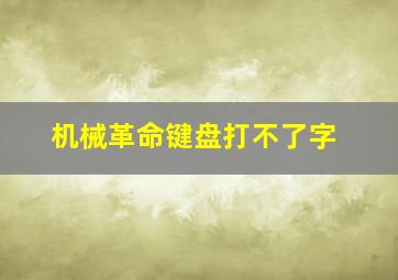 机械革命键盘打不了字