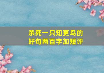 杀死一只知更鸟的好句两百字加短评