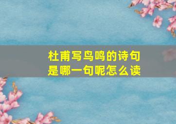 杜甫写鸟鸣的诗句是哪一句呢怎么读