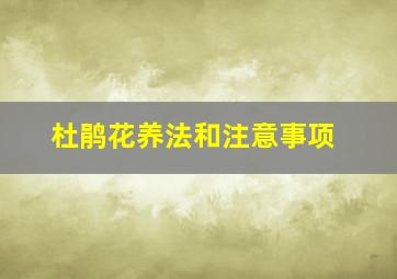 杜鹃花养法和注意事项