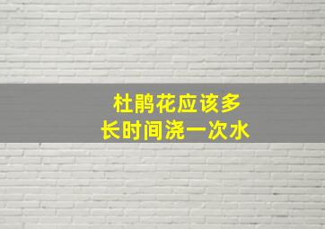 杜鹃花应该多长时间浇一次水