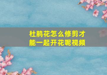 杜鹃花怎么修剪才能一起开花呢视频