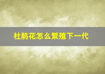 杜鹃花怎么繁殖下一代