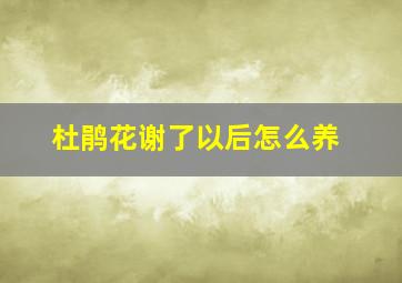 杜鹃花谢了以后怎么养