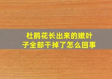 杜鹃花长出来的嫩叶子全部干掉了怎么回事