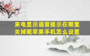 来电显示语音提示在哪里关掉呢苹果手机怎么设置