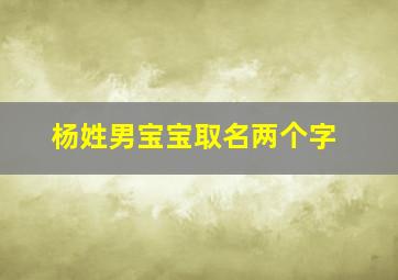 杨姓男宝宝取名两个字