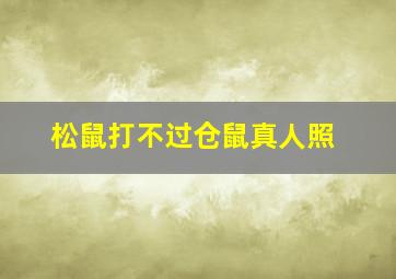 松鼠打不过仓鼠真人照