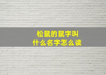 松鼠的鼠字叫什么名字怎么读