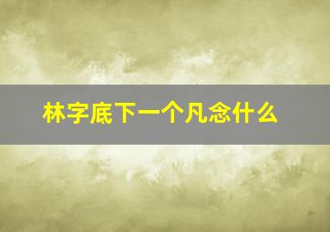 林字底下一个凡念什么