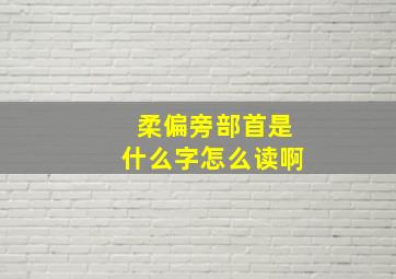 柔偏旁部首是什么字怎么读啊