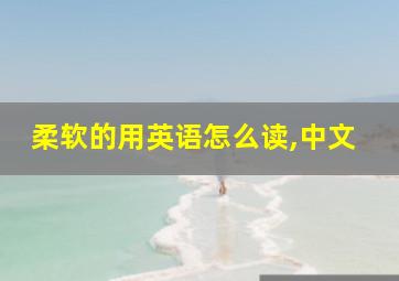 柔软的用英语怎么读,中文