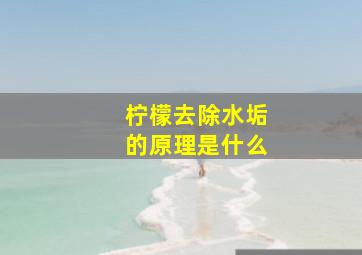 柠檬去除水垢的原理是什么