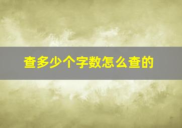 查多少个字数怎么查的