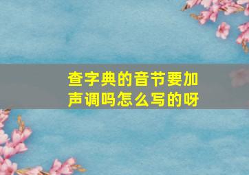 查字典的音节要加声调吗怎么写的呀