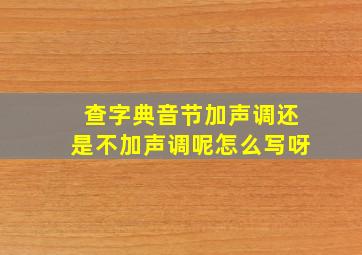 查字典音节加声调还是不加声调呢怎么写呀