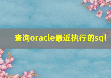 查询oracle最近执行的sql