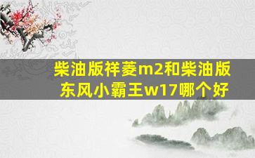 柴油版祥菱m2和柴油版东风小霸王w17哪个好