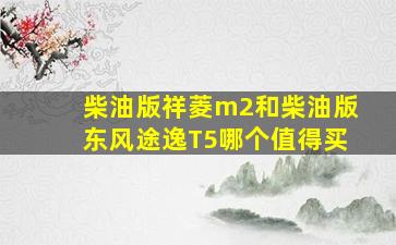 柴油版祥菱m2和柴油版东风途逸T5哪个值得买