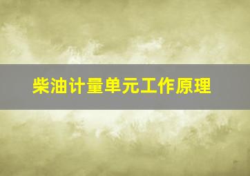 柴油计量单元工作原理