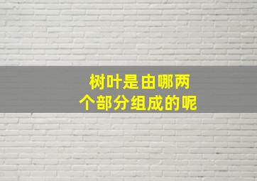 树叶是由哪两个部分组成的呢