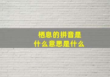 栖息的拼音是什么意思是什么