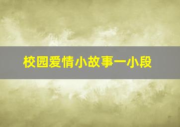 校园爱情小故事一小段