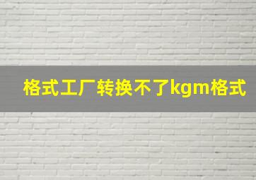 格式工厂转换不了kgm格式