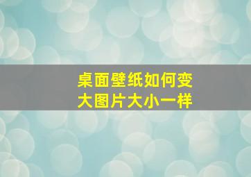 桌面壁纸如何变大图片大小一样