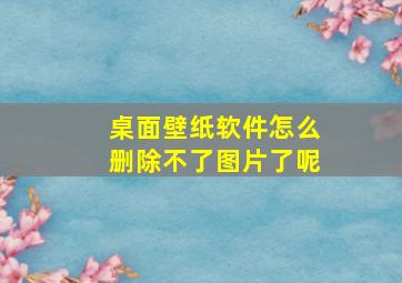 桌面壁纸软件怎么删除不了图片了呢